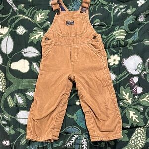 Flannel lined cord overalls